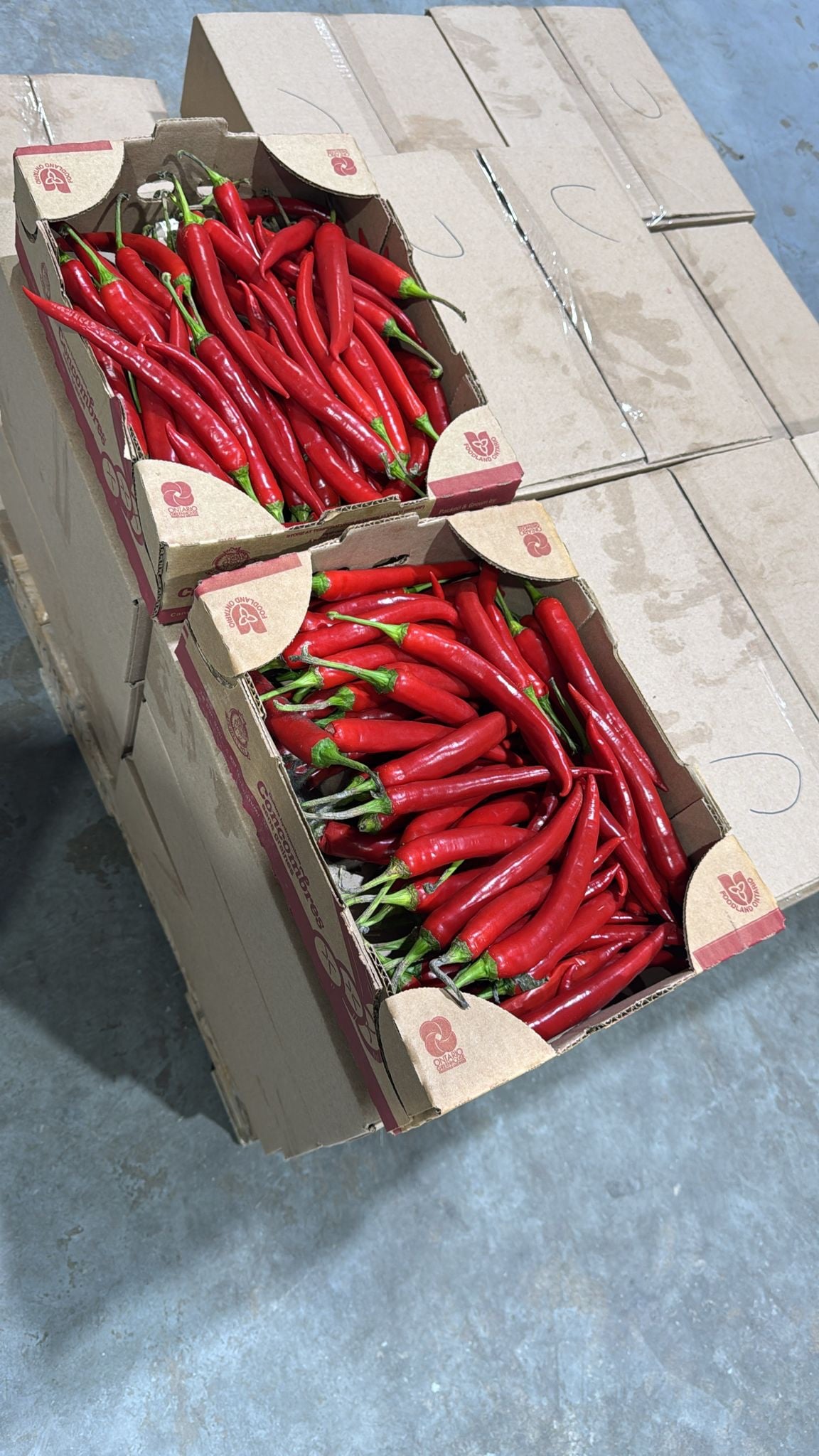 Cayenne (Bawa) Pepper- 5lbs box