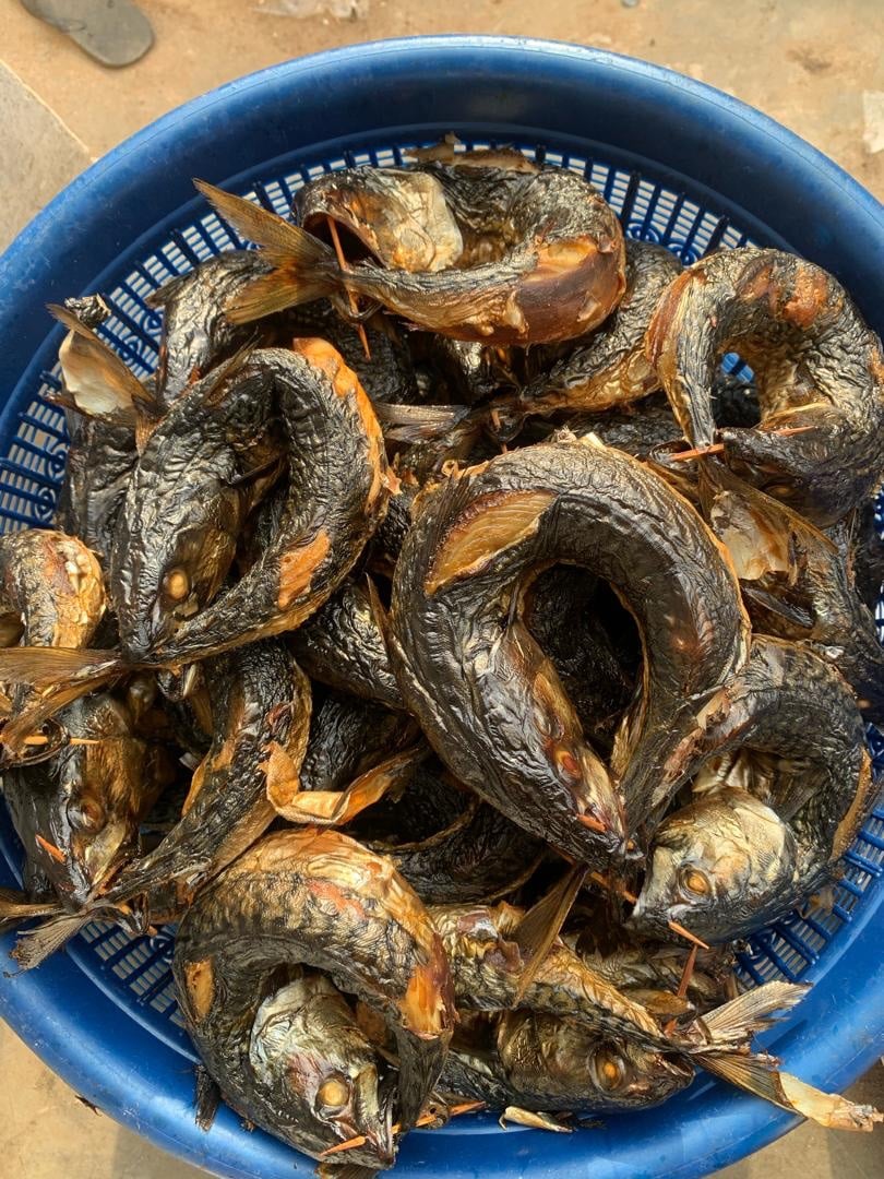 Nigerian Smoked Mackerel (Titus) Fish