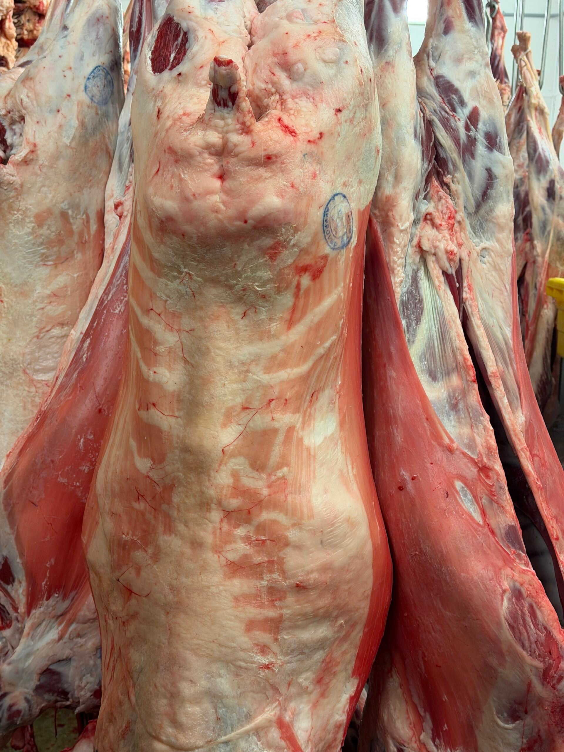 Meat Sharing with parts -(Cow/Goat)