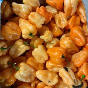 Orange and Yellow Habanero-2lbs