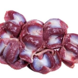 Turkey Gizzard
