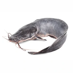 Fresh (Frozen) Catfish