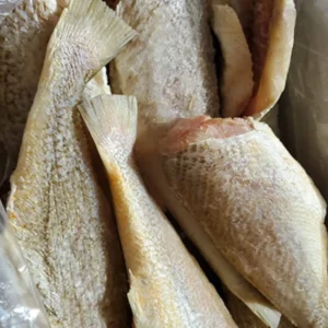 Croaker Fish (Headless)