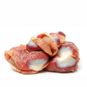 Chicken Gizzard