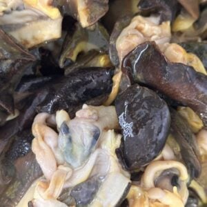 Snails -500g Pack (Medium-Large)