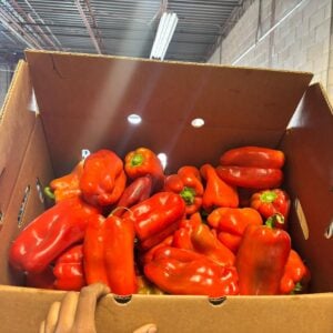 Long Bell Peppers-Bushel