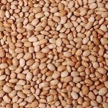 Butter (Milk) Beans