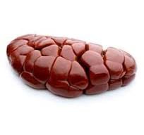 Cow Kidney