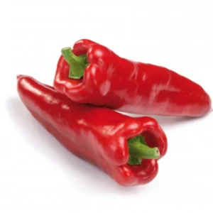 Shepherd pepper
