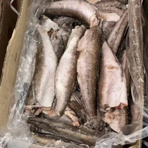 Whiting - Panla- Hake Fish