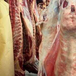Meat Sharing with parts -(Cow/Goat)