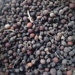 Uziza Seeds