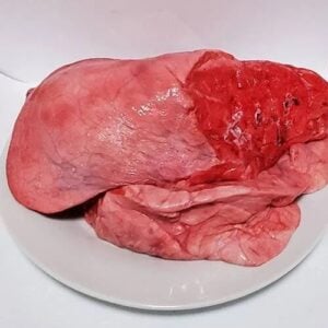 Cow Lungs